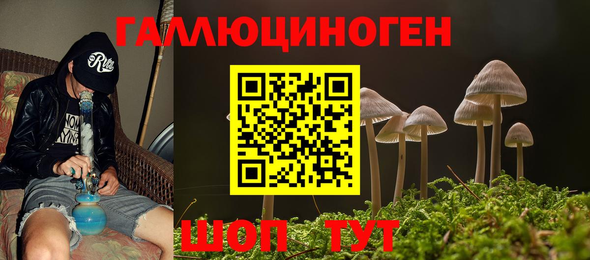 Галлюциногенные грибы Psilocybe Орск