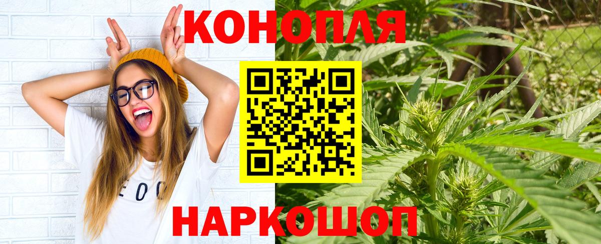 Бошки марихуана семена  Канабис сатива  Вход с VPN  Марихуана Ganja  Орск 